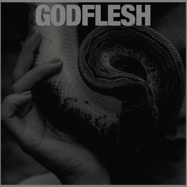 Godflesh Purge CD