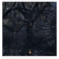 TRELLDOM - ...BY THE SHADOWS...  CD DIGIPACK PACKAGING