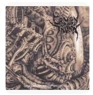 CRIMSON THORN / DISSECTION LP