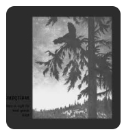 EMPYRIUM / WHERE AT NIGHT THE WOOD GROUSE PLAYS CD
