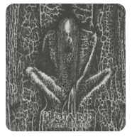 ILDJARN / FOREST POETRY (REISSUE) CD